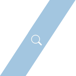 汶上蘆花雞 育成雞